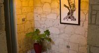 Avlu Alaçatı Boutique Hotel