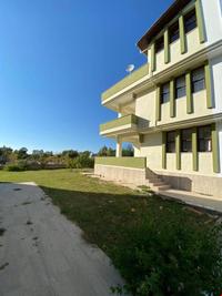 Villa Narçiçeği