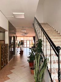 White Night Suite ve Apart Hotel