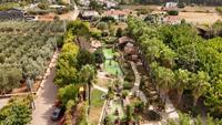 Antalya Orfe