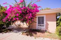 Carlotta 2 | Kaş