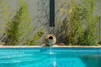 Villa Emotion