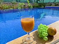 Villa Ecrin's 1
