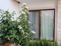 Kaputaş Apart Hotel