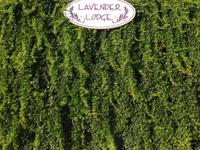 Lavenders Lodge