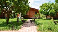 Lemon Garden Lodge