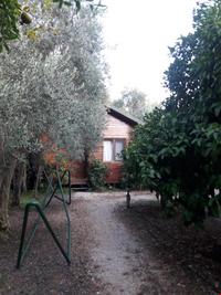 Villa Halil Bungalow