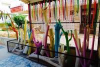 Ale Park Hotel Apartments