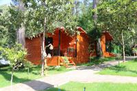 Robina Bungalov