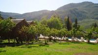 Don Kişot Pansiyon