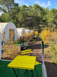 Evergreen Glamping