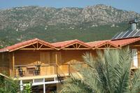 Portakal Bahçesi