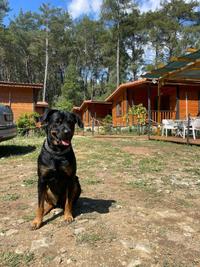Eylül Pansiyon Olimpos
