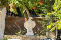 Olympos Hakan Pansiyon
