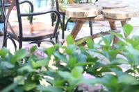 Zebu Hotel Adrasan