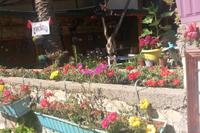 Belen Otel
