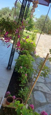 Malikane Resort