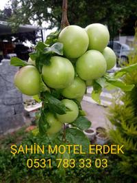 Erdek Şahin Motel