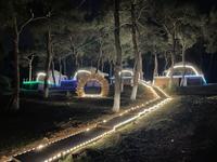 Büyükada  Glamping