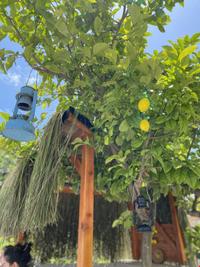 Cielo Limon Butik Otel