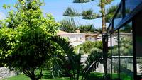 Dalyan Risus Suite