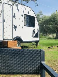 Caravan Home