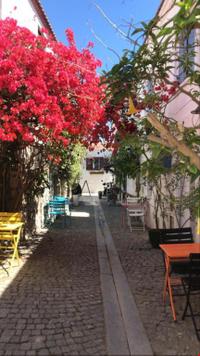 Çalıkuşu Butik Hotel