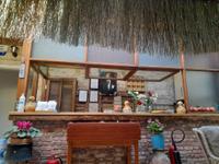 Casa Callinos