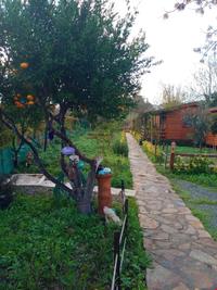 Defne Wood Home