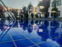 Paradise Apart