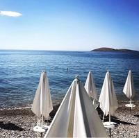 Kıyı Suites Hotel Palamutbükü
