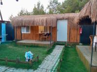 Freshful Beach House