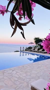 Olive Garden Kabak
