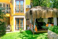 The Olive Tree Studios