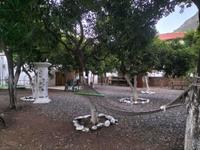 Soul Green Otel