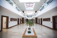 Carissa Otel