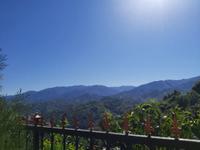 Tatil Evi Çayeli