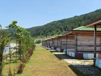 Rıhtım Tatil Köyü & Restaurant