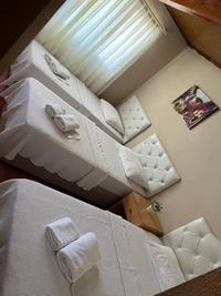 Otel Nese