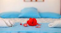 Rose Pension