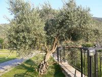 Natureland Efes