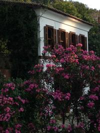 Terrace Houses Sirince - Fig; Olive & Grapevine