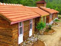Jungle Bells Hostel