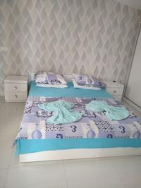 Paddys Apartments