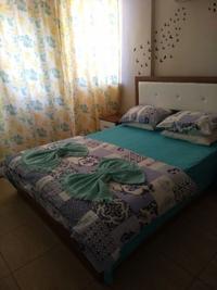 Paddys Apartments