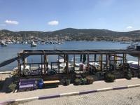 Vertigo Foca