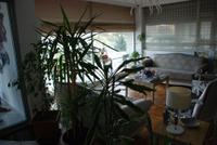 Saricay Hotel Rhodius