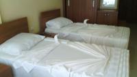Gray Wolf Hotel