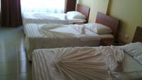 Gray Wolf Hotel