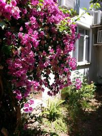 Irmak Butik Hotel Cirali